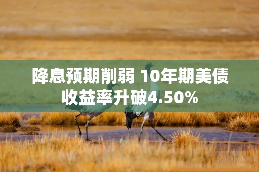 降息预期削弱 10年期美债收益率升破4.50%