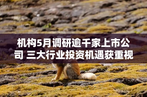 机构5月调研逾千家上市公司 三大行业投资机遇获重视