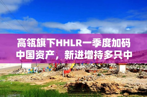 高瓴旗下HHLR一季度加码中国资产，新进增持多只中概股