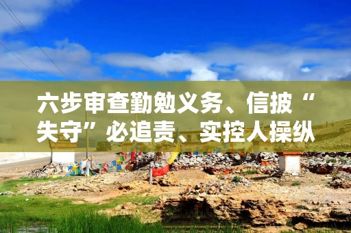 六步审查勤勉义务、信披“失守”必追责、实控人操纵公司仍担责 金融法院护航投资者保护