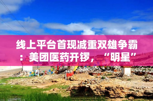 线上平台首现减重双雄争霸：美团医药开锣，“明星”产品唱戏