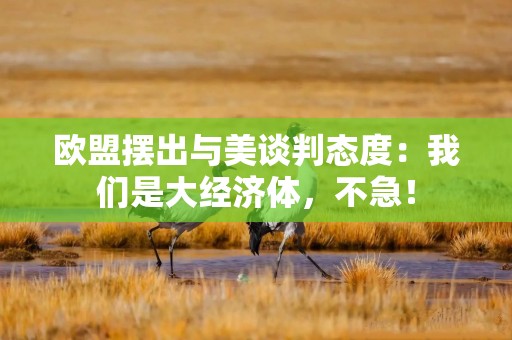 欧盟摆出与美谈判态度：我们是大经济体，不急！