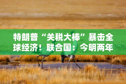 特朗普“关税大棒”暴击全球经济！联合国：今明两年增长都将放缓