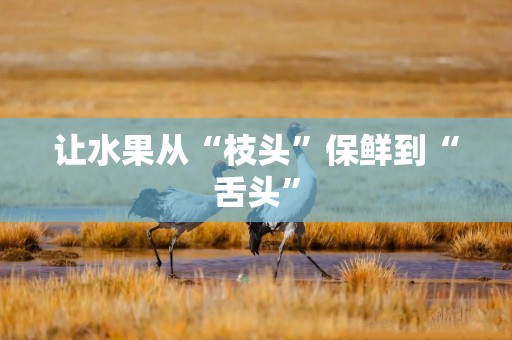 让水果从“枝头”保鲜到“舌头”