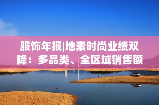 服饰年报|地素时尚业绩双降：多品类、全区域销售额下降 存货增加且周转效率下降