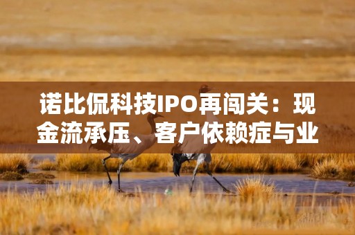 诺比侃科技IPO再闯关：现金流承压、客户依赖症与业务失衡三重拷问