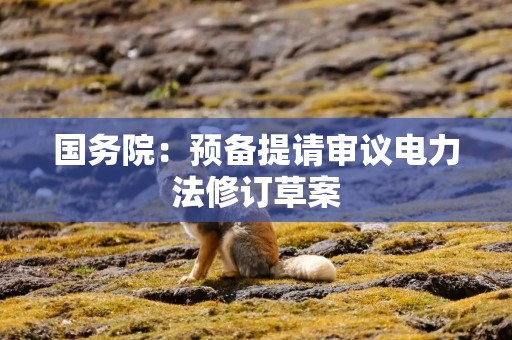 国务院：预备提请审议电力法修订草案