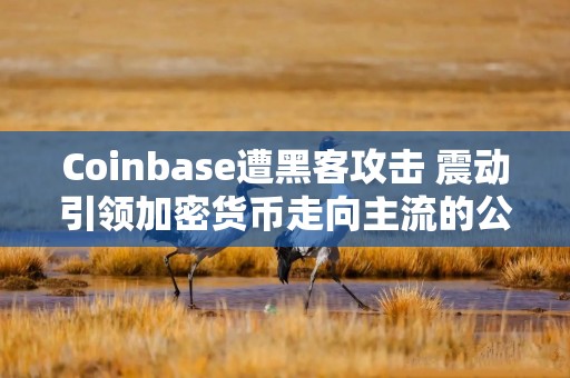 Coinbase遭黑客攻击 震动引领加密货币走向主流的公司