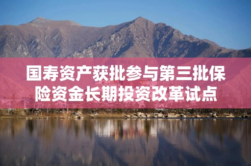 国寿资产获批参与第三批保险资金长期投资改革试点
