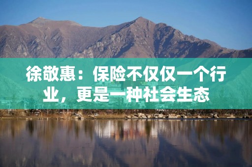 徐敬惠：保险不仅仅一个行业，更是一种社会生态