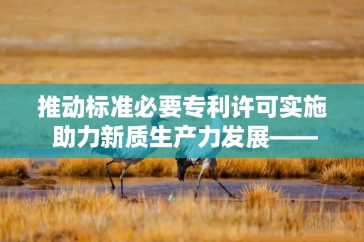 推动标准必要专利许可实施 助力新质生产力发展——“标准必要专利全球治理与监管趋势”研讨会成功召开