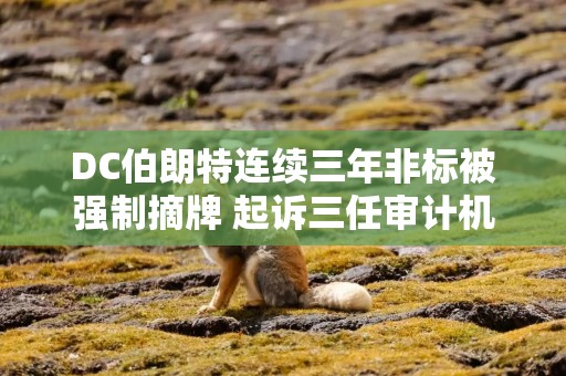 DC伯朗特连续三年非标被强制摘牌 起诉三任审计机构全面败诉