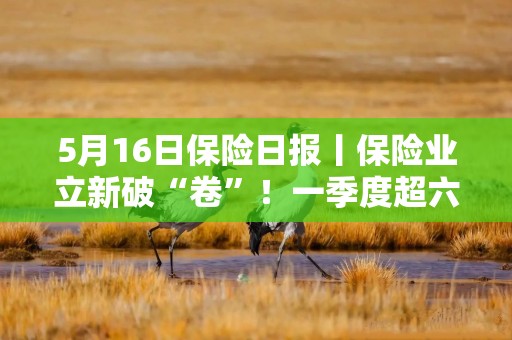 5月16日保险日报丨保险业立新破“卷”！一季度超六成险企车均保费低于2000元，今年险资举牌热情不减