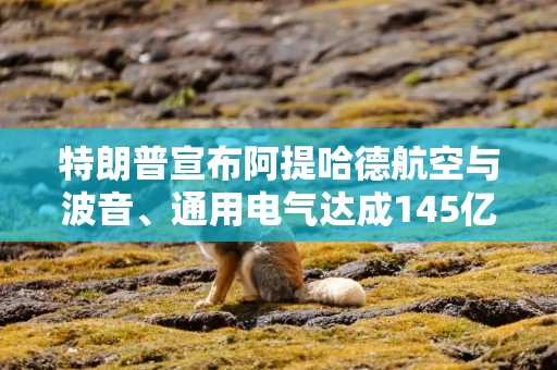 特朗普宣布阿提哈德航空与波音、通用电气达成145亿美元采购协议