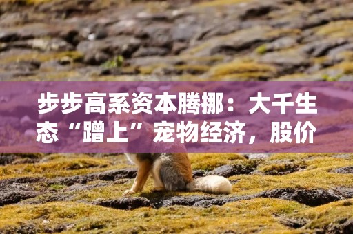 步步高系资本腾挪：大千生态“蹭上”宠物经济，股价1个月翻倍背后的借壳疑云