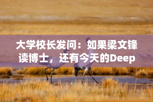 大学校长发问：如果梁文锋读博士，还有今天的DeepSeek吗？