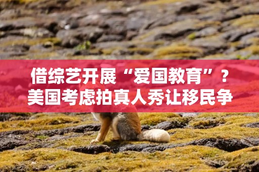 借综艺开展“爱国教育”？美国考虑拍真人秀让移民争夺国籍