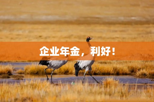 企业年金，利好！