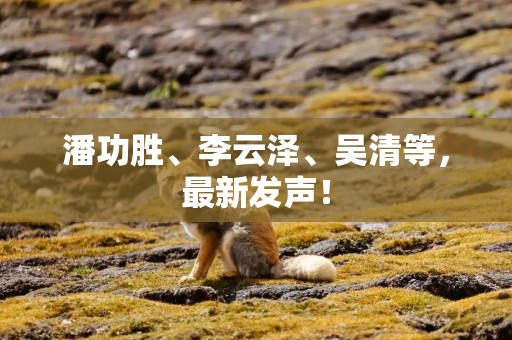 潘功胜、李云泽、吴清等，最新发声！