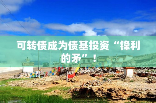 可转债成为债基投资“锋利的矛”！