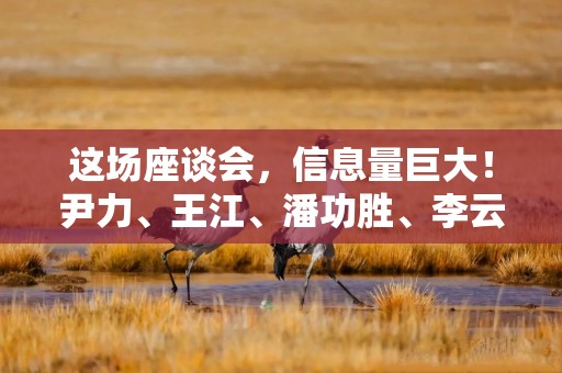 这场座谈会，信息量巨大！尹力、王江、潘功胜、李云泽、吴清参加