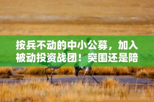按兵不动的中小公募，加入被动投资战团！突围还是陪跑？