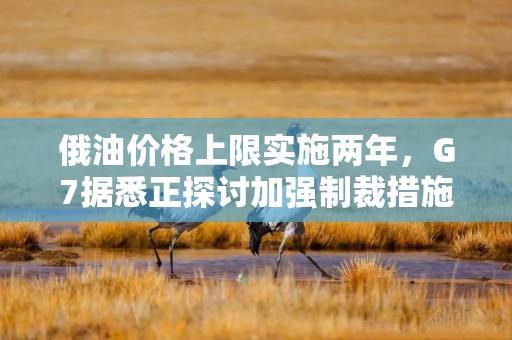 俄油价格上限实施两年，G7据悉正探讨加强制裁措施