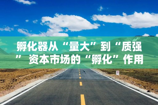 孵化器从“量大”到“质强” 资本市场的“孵化”作用不可缺