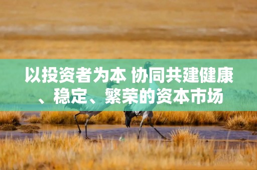 以投资者为本 协同共建健康、稳定、繁荣的资本市场