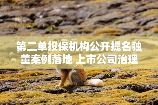 第二单投保机构公开提名独董案例落地 上市公司治理生态将进一步优化