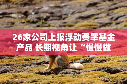 26家公司上报浮动费率基金产品 长期视角让“慢慢做大规模”更可期