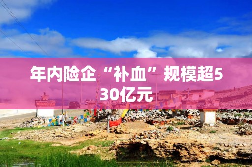 年内险企“补血”规模超530亿元