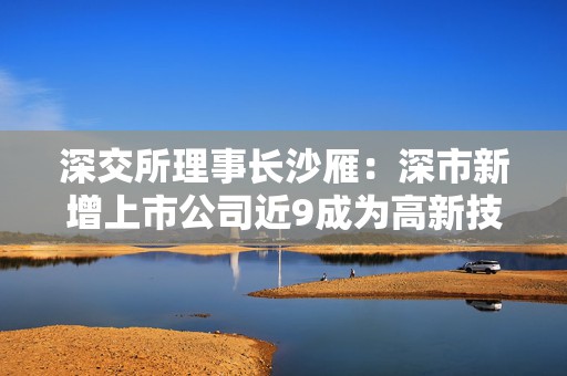 深交所理事长沙雁：深市新增上市公司近9成为高新技术企业，近6成属于战略新兴产业
