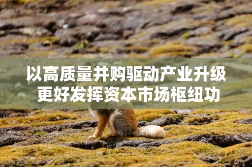 以高质量并购驱动产业升级 更好发挥资本市场枢纽功能