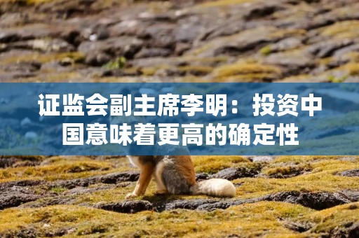 证监会副主席李明：投资中国意味着更高的确定性