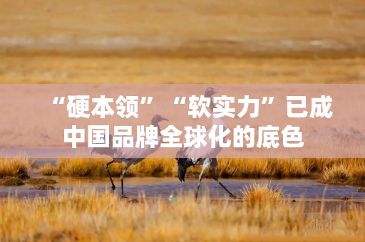 “硬本领”“软实力”已成中国品牌全球化的底色