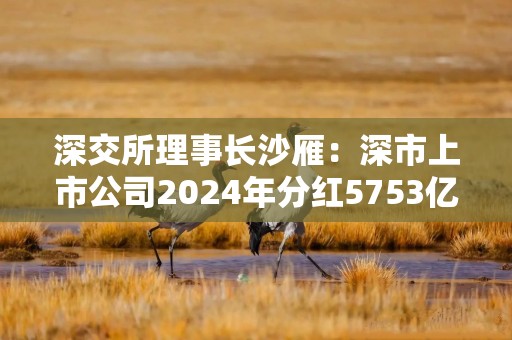 深交所理事长沙雁：深市上市公司2024年分红5753亿元 增长36%