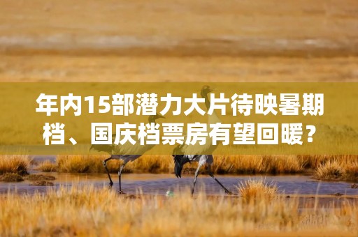 年内15部潜力大片待映暑期档、国庆档票房有望回暖？