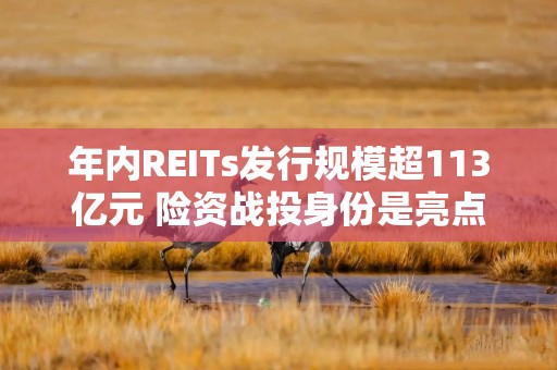 年内REITs发行规模超113亿元 险资战投身份是亮点