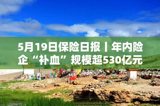 5月19日保险日报丨年内险企“补血”规模超530亿元，34家保险资管机构去年实现净利润超180亿元
