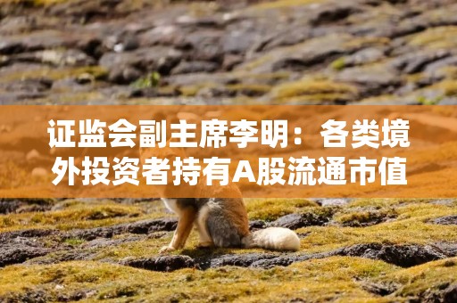 证监会副主席李明：各类境外投资者持有A股流通市值稳定在3万亿左右