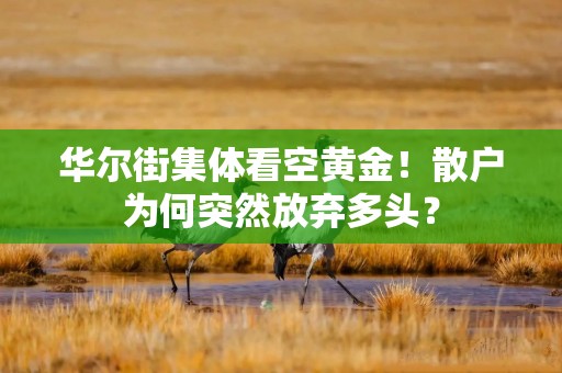 华尔街集体看空黄金！散户为何突然放弃多头？