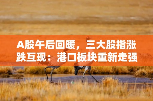 A股午后回暖，三大股指涨跌互现：港口板块重新走强，两市成交近1.1万亿元
