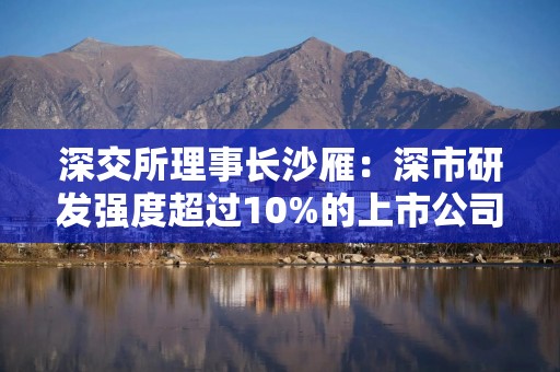 深交所理事长沙雁：深市研发强度超过10%的上市公司占比14% 比亚迪宁德时代再创新高