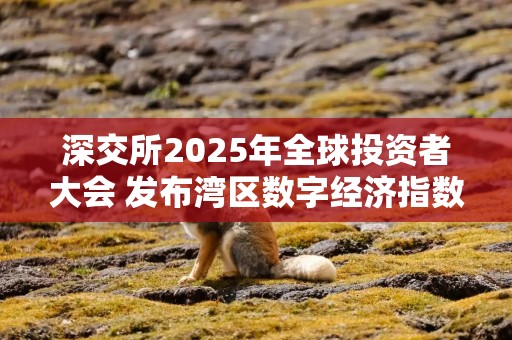 深交所2025年全球投资者大会 发布湾区数字经济指数和湾区消费指数