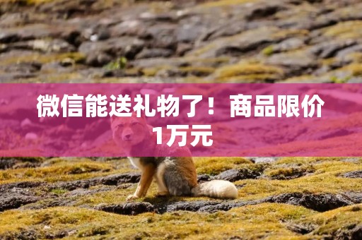 微信能送礼物了！商品限价1万元