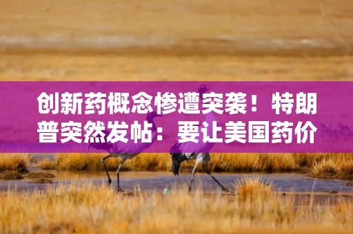 创新药概念惨遭突袭！特朗普突然发帖：要让美国药价立即降低最多80%！
