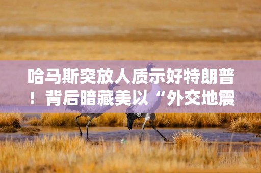 哈马斯突放人质示好特朗普！背后暗藏美以“外交地震”？