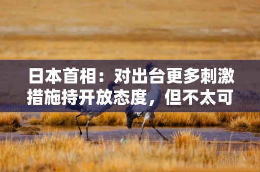 日本首相：对出台更多刺激措施持开放态度，但不太可能下调消费税