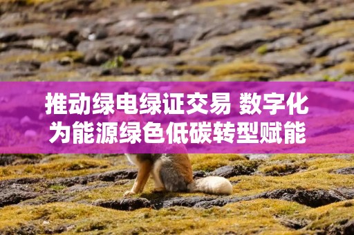 推动绿电绿证交易 数字化为能源绿色低碳转型赋能